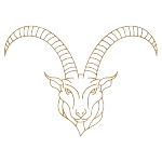 Capricorn monthly horoscope